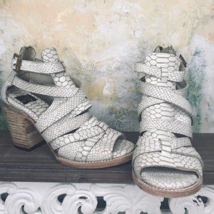 Freebird by Steven Claw